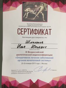 Сертификат Шмельков Илья Юрьевич